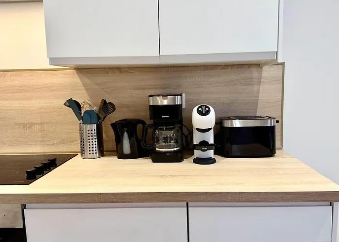 Apartmán Sasha - En Centre-ville Pour 6 Pers Avec Garage Et A 200m *